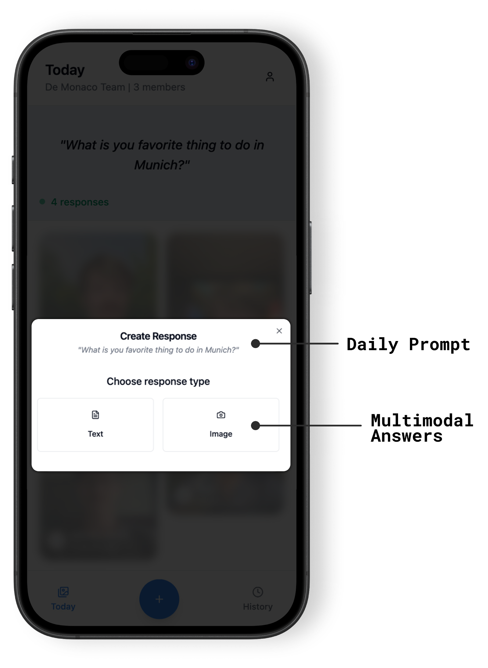 The response interface, with text and image answers.