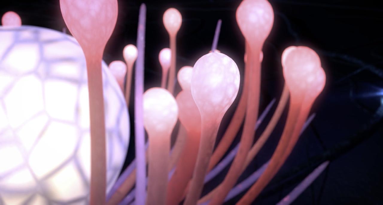 Ekstase — Animated Short